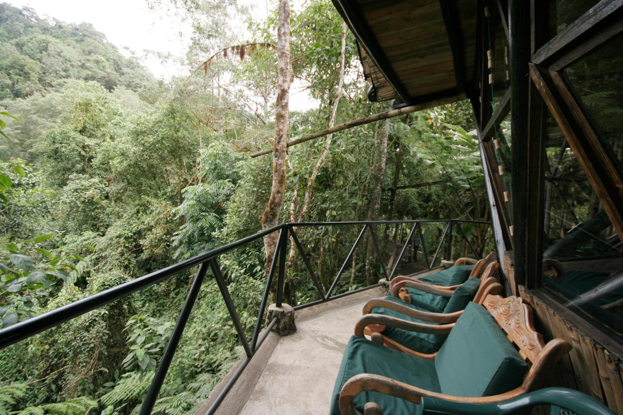 Bellavista Cloud Forest Lodge & Private Protected Area Tandayapa Exterior photo