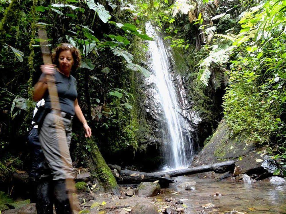 Bellavista Cloud Forest Lodge & Private Protected Area Tandayapa Exterior photo
