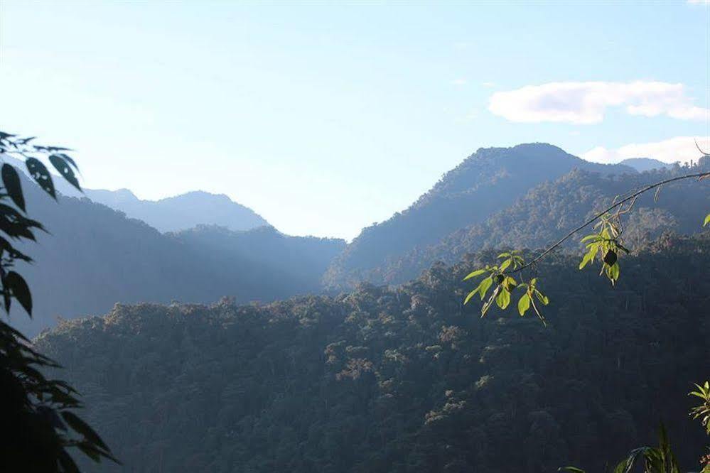 Bellavista Cloud Forest Lodge & Private Protected Area Tandayapa Exterior photo